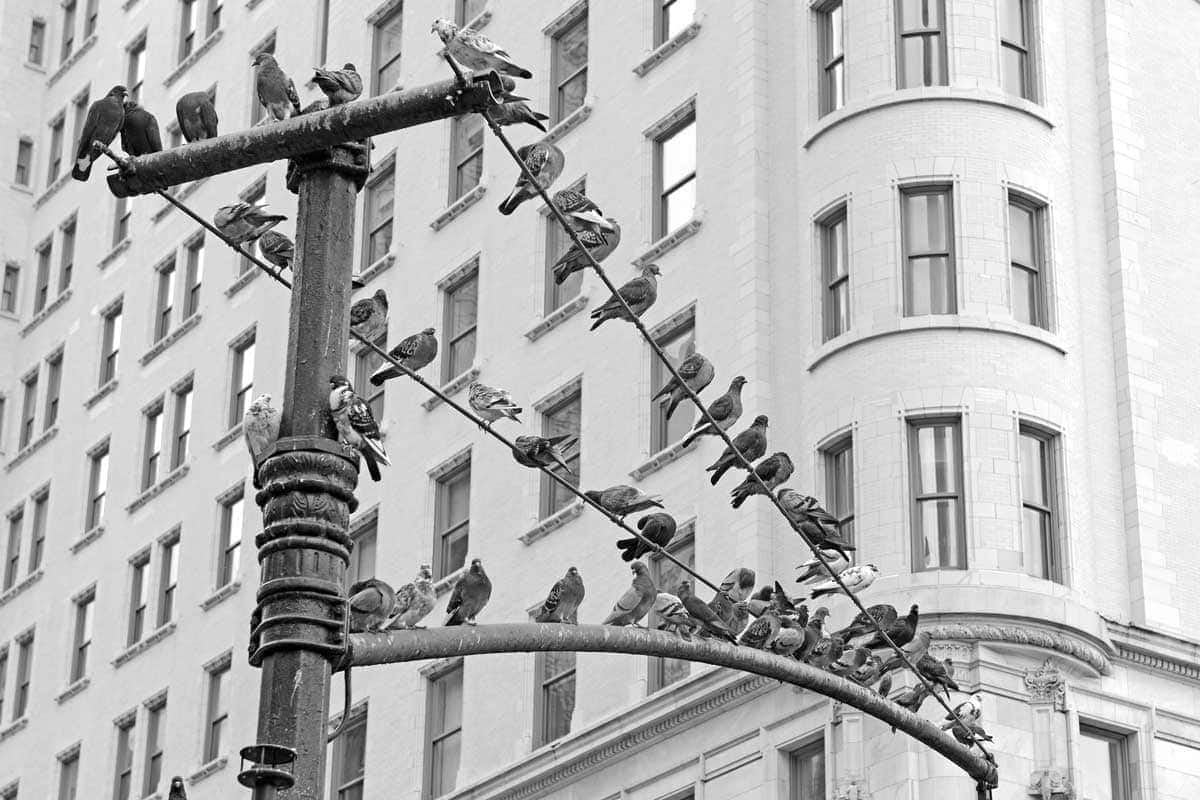 You Are Who You Hang Out With – Why Who He’s Friends With Matters