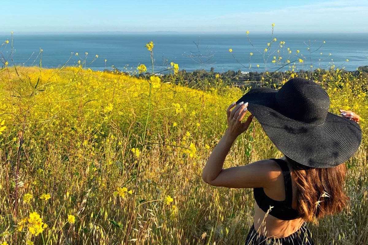 How To Forgive Yourself For Falling Off Your White Horse